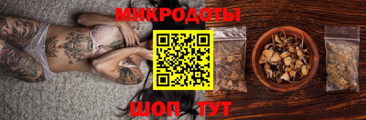 Кимовск  Галлюциногенные грибы Psilocybe  Вход с VPN 